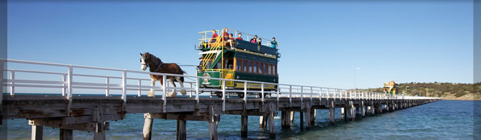 Victor Harbor Horse Drawn Tram