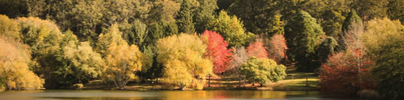 Mount Lofty Botanic Garden