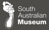 South Australian Museum